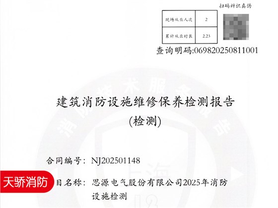 年度消防检测报告-上海天骄消防